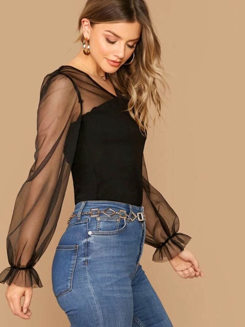 Sheer V Neck Top